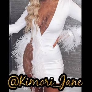 Ms shimmer me dress with feathers